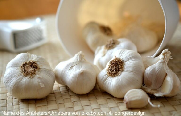 Knoblauch